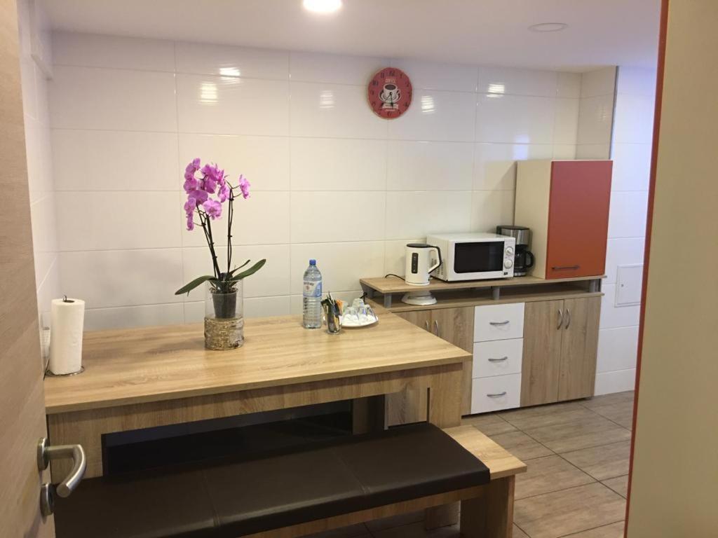 Pension Luna Hildesheim Extérieur photo